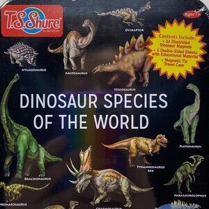 T. S. Shure by Bendon Dinosaur Educational Magnets and Learning Material